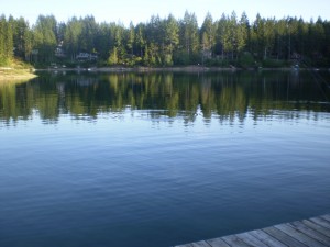 Maggie Lake