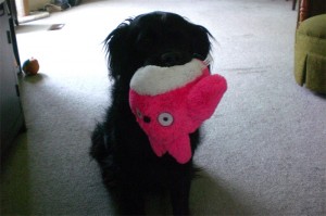 Totoro is upside down in Suki's mouth! Totoro is upside down in Suki's mouth!