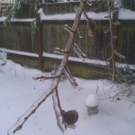 IMG_20120120_083257