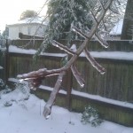 IMG_20120120_083312