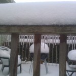 IMG_20120120_083347