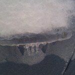IMG_20120120_100050