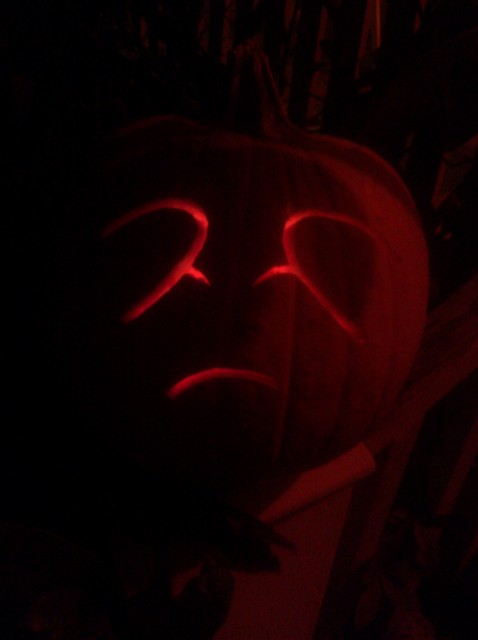 It's a Shy Boo Punkin!