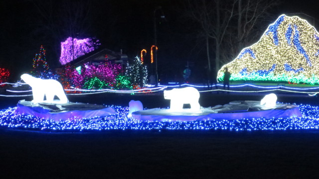 The Zoolights at Night!