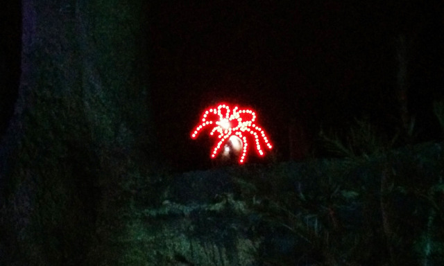 The Christmas Spider!